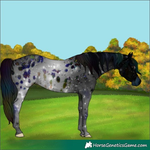 Horse Color:ERROR: UNKNOWN ANOMALY