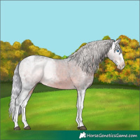Horse Color:Watercolor Silver Brown Ice Splash Varnish 
