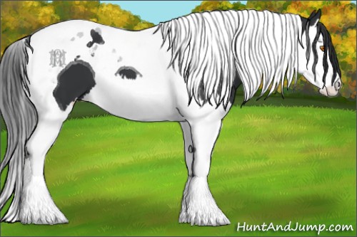 Horse Color:Black Splash Tobiano 