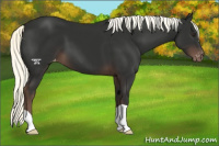 Horse Color:Liver Chestnut Mushroom Varnish