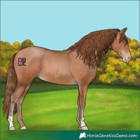 Horse Color:Brown Pearl