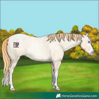 Horse Color:Amber Cream Champagne Roan Pearl Splash 