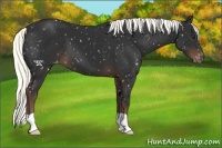 Horse Color:Liver Chestnut Mushroom Snowflake Varnish 