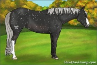 Horse Color:Liver Chestnut Mushroom Snowflake Varnish 