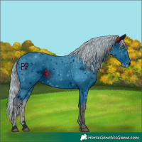 Horse Color:ERROR: UNKNOWN ANOMALY