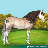 Horse Color:Amber Champagne Onyx Splash