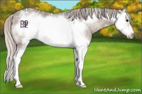 Horse Color:Silver Grullo Ice Onyx Sabino Splash Frame 