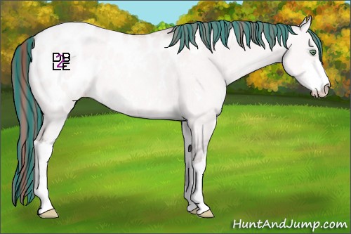 Horse Color:Platinum Painted Sable Cream Champagne Dun Sabino Blanket 