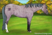 Horse Color:Platinum Painted Grullo Roan Varnish 