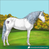 Horse Color:Platinum Painted Sable Cream Champagne Dun Varnish 