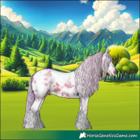 Horse Color:Watercolor White Spotted Silver Brown Ice 