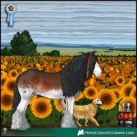 Horse Color:White Spotted Brown 