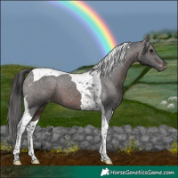 Horse Color:Brown Tobiano Varnish 