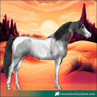 Horse Color:Brown Sabino Tobiano