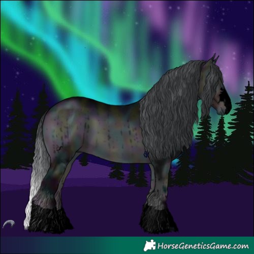 Horse Color:Void Midnight Brown Chinchilla Onyx 