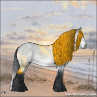 Horse Color:Brown Chinchilla Dun 