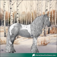Horse Color:Silver Grullo Chinchilla Tobiano 