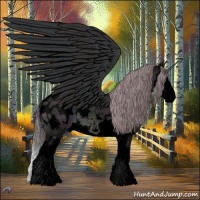 Horse Color:Void Midnight Chocolate Brown Chinchilla Dun Splash Appaloosa 