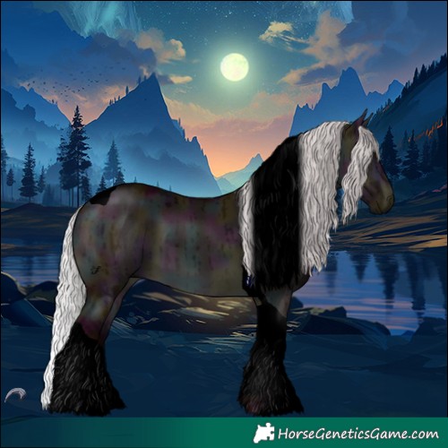Horse Color:Void Midnight Chocolate Silver Brown Chinchilla Dun Tobiano Brindle