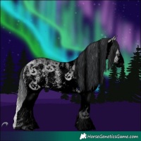 Horse Color:Void White Spotted Bay Chinchilla Dun 