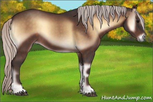 Horse Color:Silver Bay Onyx 