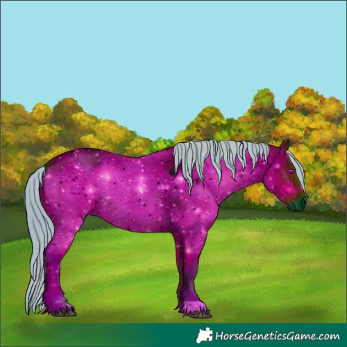 Horse Color:ERROR: UNKNOWN ANOMALY