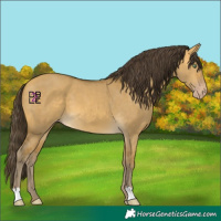 Horse Color:Sable Cream Champagne Dun 