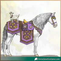 Horse Color:Grullo Sabino Splash