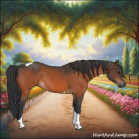 Horse Color:Bay Tobiano Rabicano 