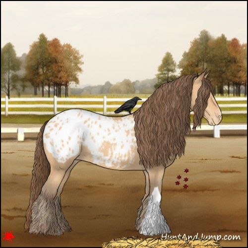 Horse Color:Amber Champagne Appaloosa 
