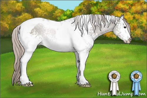 Horse Color:White Spotted Silver Black Tobiano Rabicano