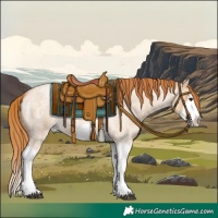 Horse Color:Red Dun Roan Splash Frame Rabicano 