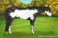 Horse Color:Black  and Black Frame 