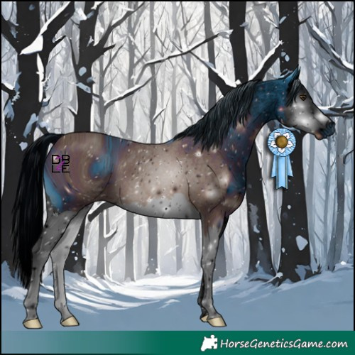 Horse Color:ERROR: UNKNOWN ANOMALY