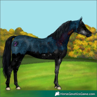Horse Color:ERROR: UNKNOWN ANOMALY