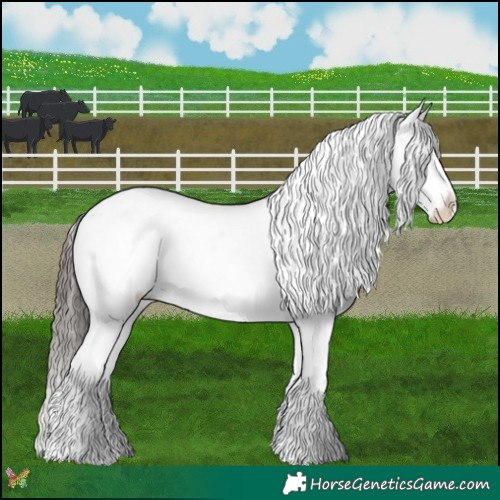 Horse Color:Black Snowflake Varnish