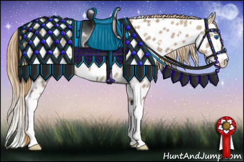 Horse Color:White Spotted Liver Red Dun Roan Splash Appaloosa 