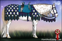 Horse Color:White Spotted Liver Red Dun Roan Splash Appaloosa