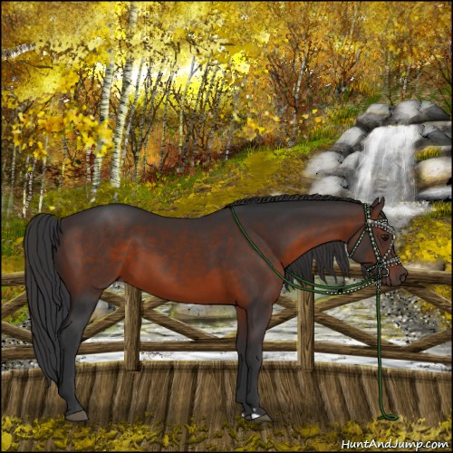 Horse Color:Brown 