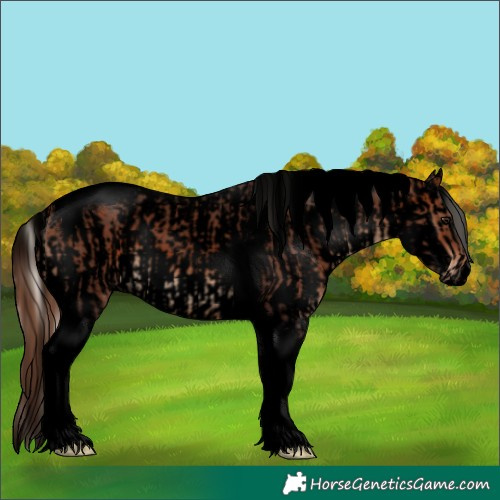 Horse Color:Void Silver Brown Tobiano  and Void Sable Champagne Sabino Appaloosa 