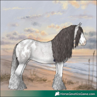 Horse Color:Platinum Brown Roan Dun Splash Appaloosa 