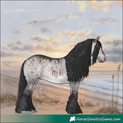 Horse Color:Platinum Brown Dun Brindle 