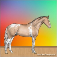 Horse Color:Silver Buckskin Pearl Sabino Tobiano Appaloosa Rabicano 
