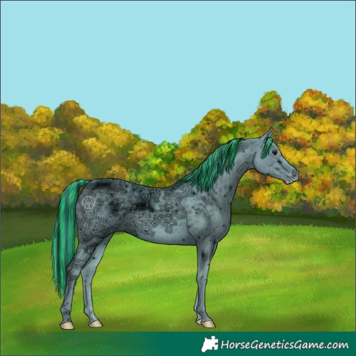 Horse Color:ERROR: UNKNOWN ANOMALY
