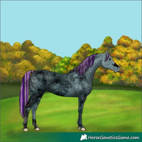 Horse Color:ERROR: UNKNOWN ANOMALY