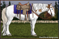 Horse Color:Chocolate Palomino Splash Tobiano