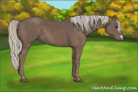 Horse Color:Silver Black 