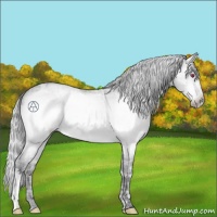 Horse Color:Silver Brown Chinchilla Ice Roan 