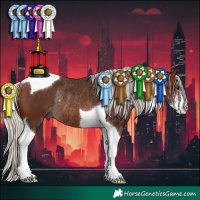 Horse Color:Silver Brown Sabino Tobiano Rabicano 