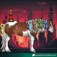 Horse Color:Silver Brown Sabino Tobiano Rabicano 